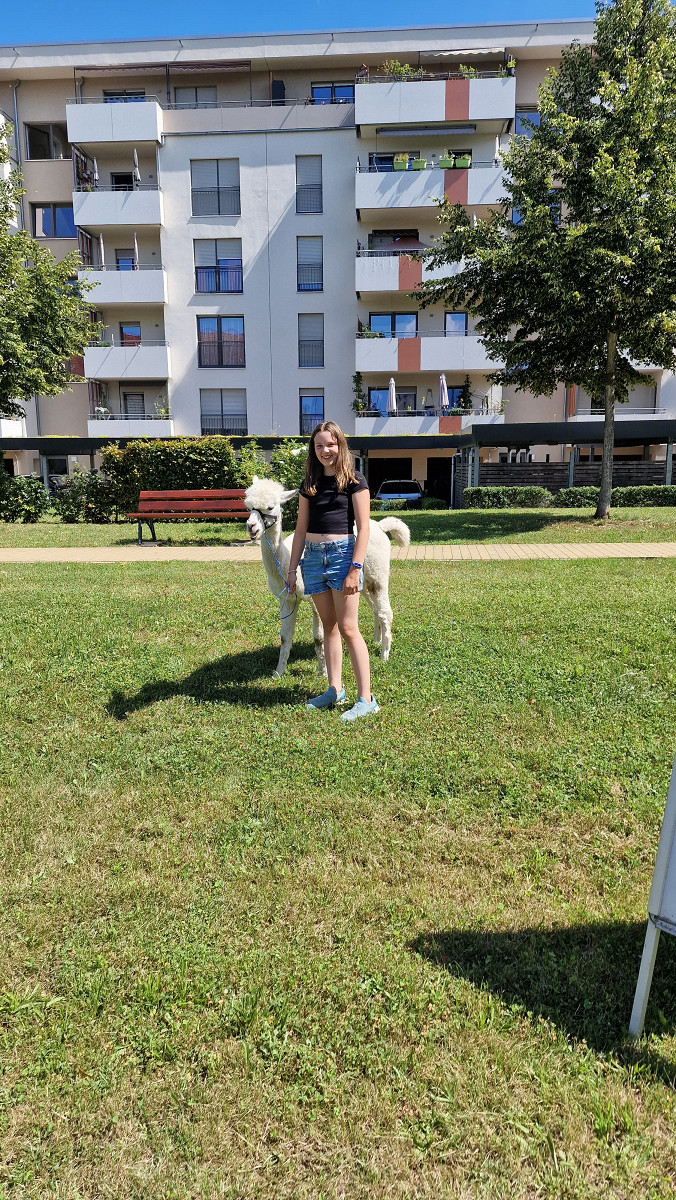 Gassi gehen mal anders